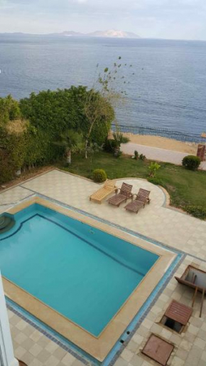 Seafront villa in Sharm El Sheikh
